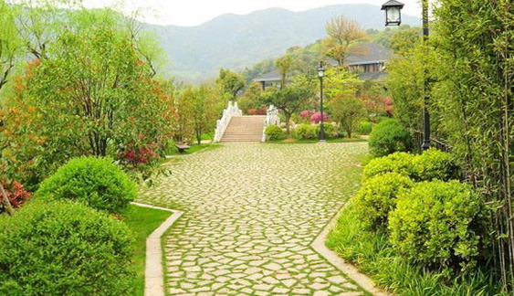 小麥淀粉加工設備